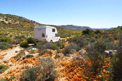 Südafrika – Blütenparadies am südlichen Ende der Welt